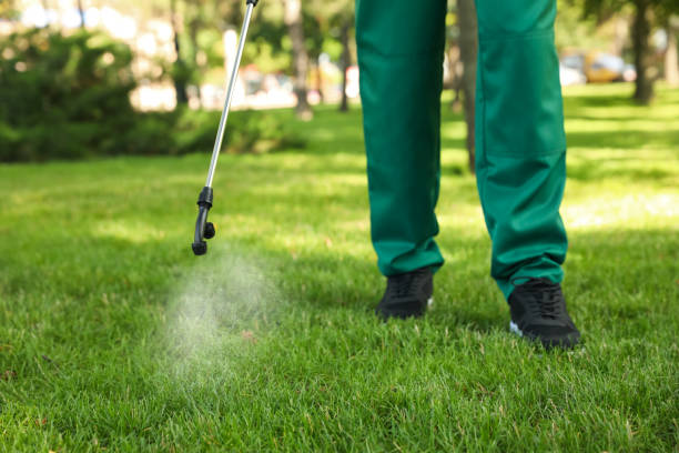 Best Commercial Pest Control Services  in St Robert, MO