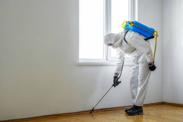 Best Pest Prevention Services  in St Robert, MO