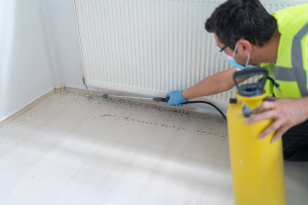 Pest Control Cost in St Robert, MO