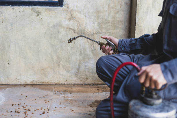 Best Emergency Pest Control  in St Robert, MO
